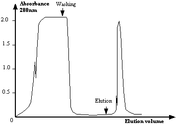 ABSORBANCE