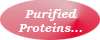 Affinity Purified Proteins & Hormones