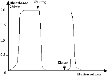 ABSORBANCE