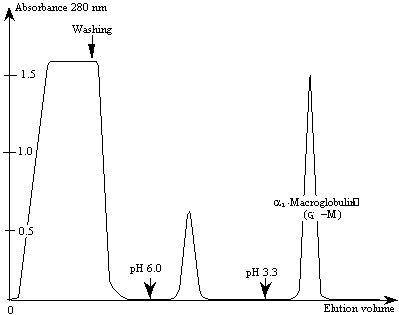 ABSORBANCE